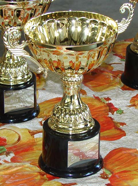 Olde English Bulldogge Shows
