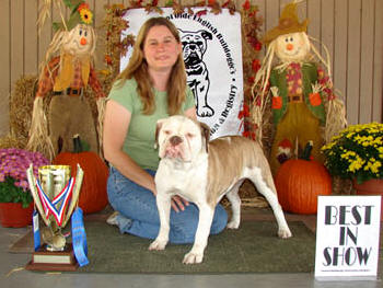 olde english bulldogge